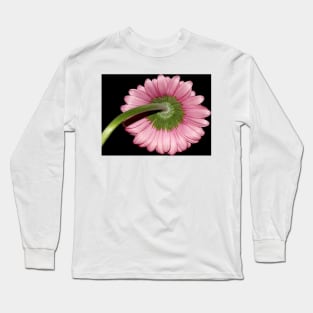 Pink Gerbera daisy Long Sleeve T-Shirt